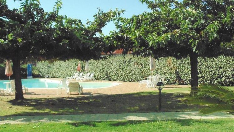 Holiday image