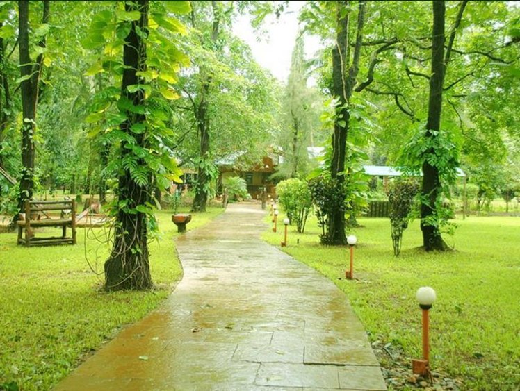 General view