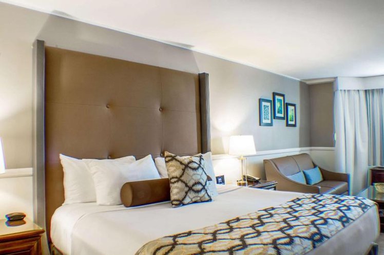 DOUBLE DELUXE KING BED Room