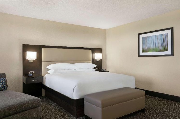 DOUBLE KING SIZE BED Room