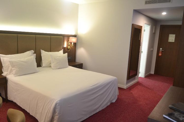 Double or Twin STANDARD Room