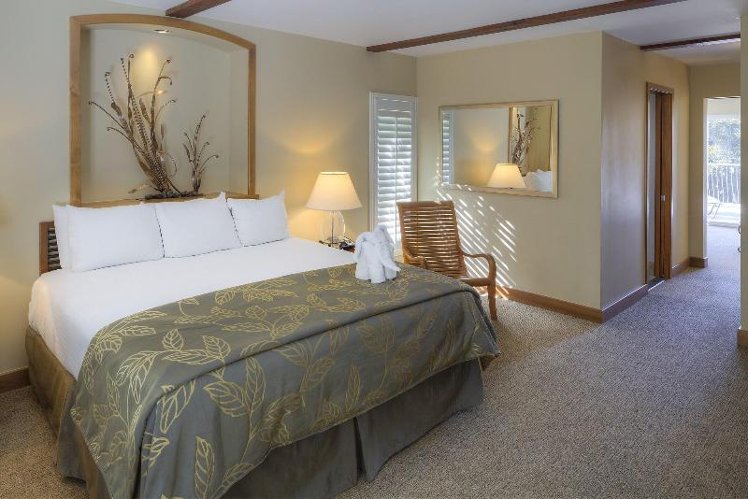 JUNIOR SUITE PARK VIEW Room