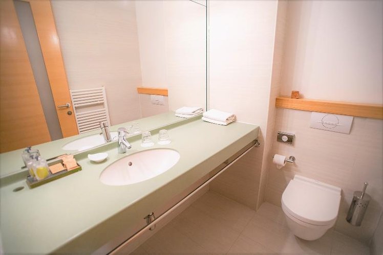 Double or Twin SUPERIOR GARDEN VIEW Room