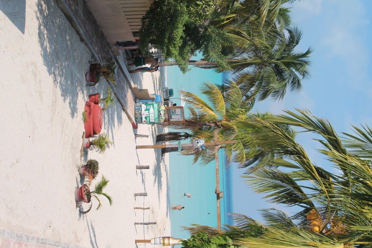 Holiday image