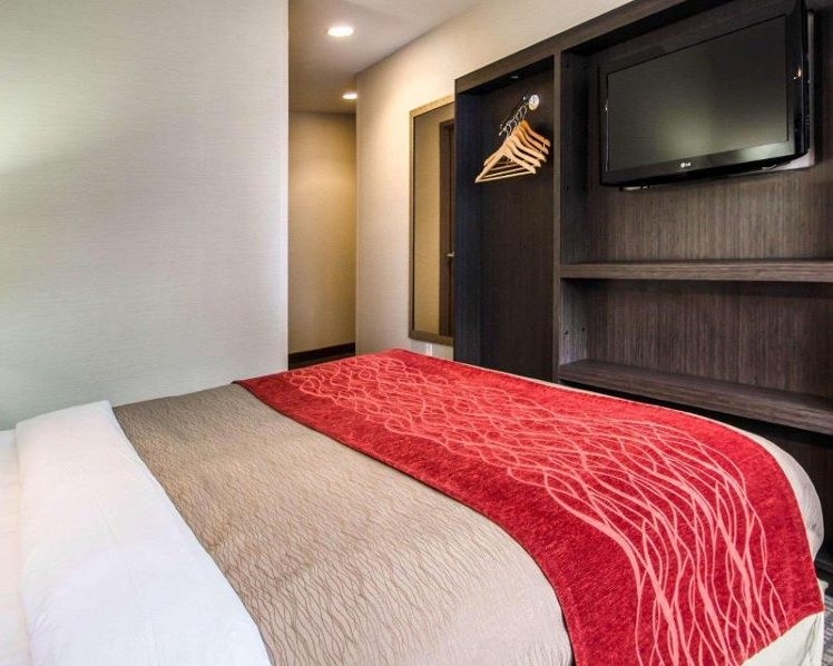 DOUBLE QUEEN SIZE BED Room