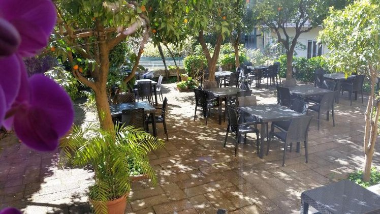 Terrace