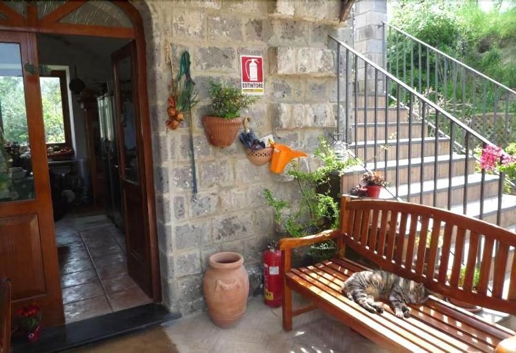 Holiday image