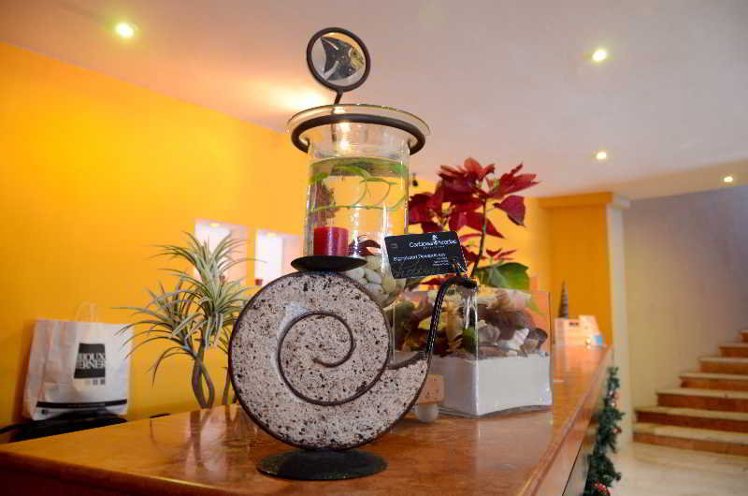 Caribbean Paradise Boutique Hotel