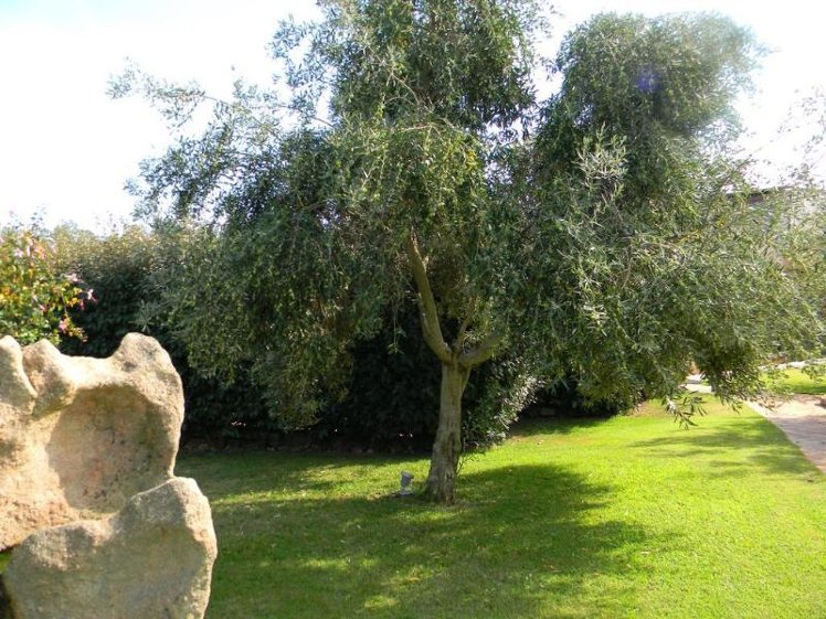 General view