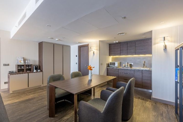 SUITE EXECUTIVE KING BED Room