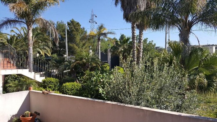 General view