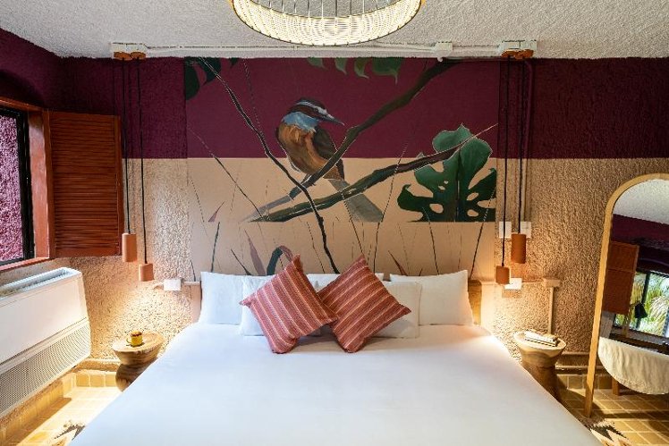SUITE PREMIUM Room