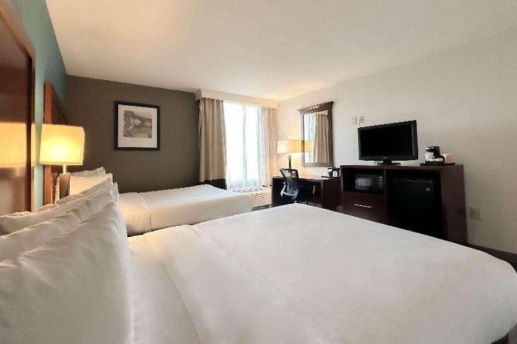 DOUBLE TWO QUEEN BEDS Room
