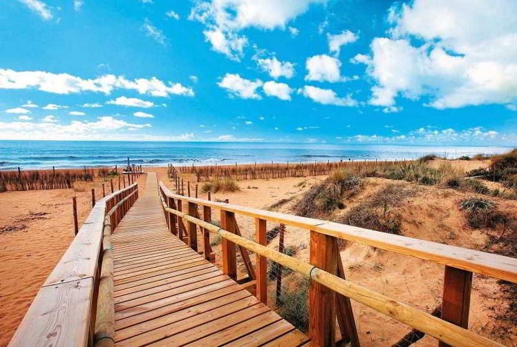 Beach