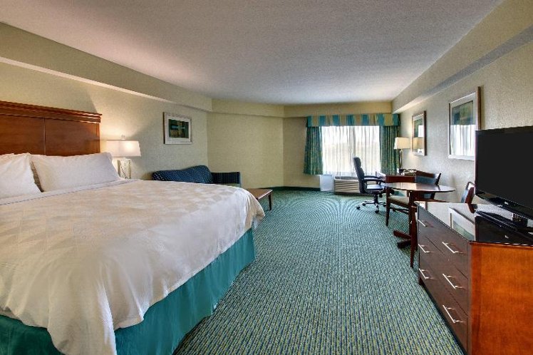 DOUBLE EXECUTIVE KING BED Room