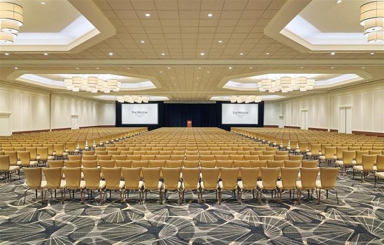 Conferences