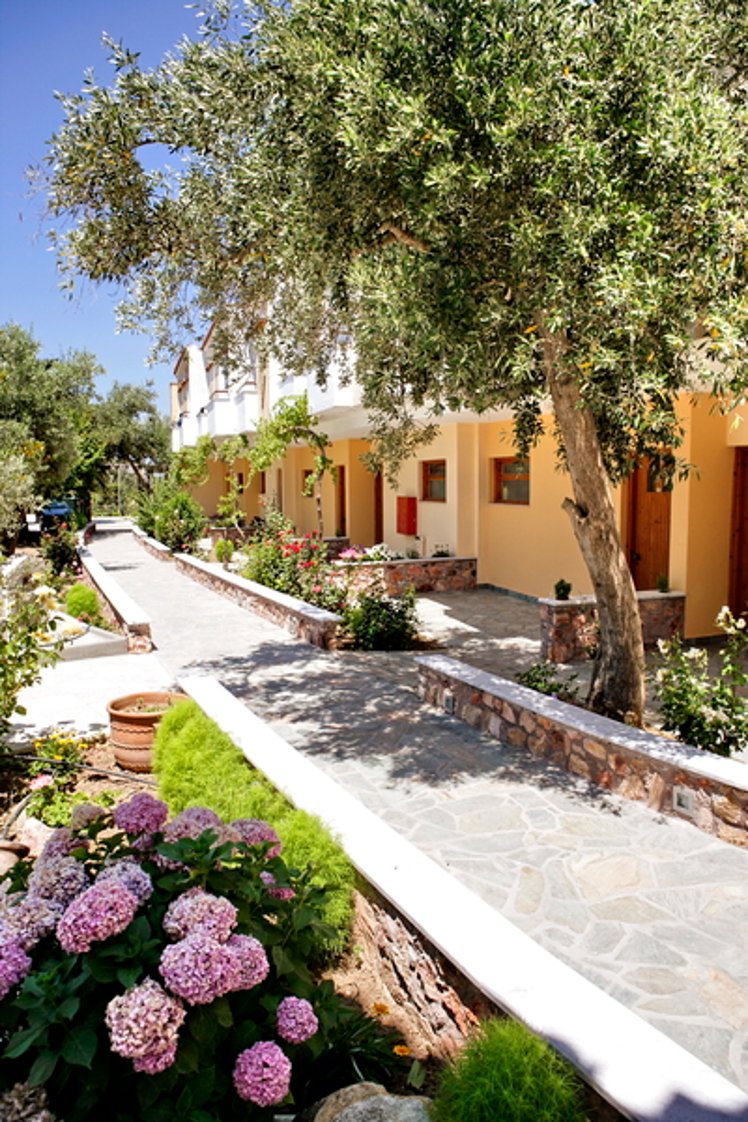 General view