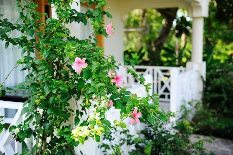 Holiday image