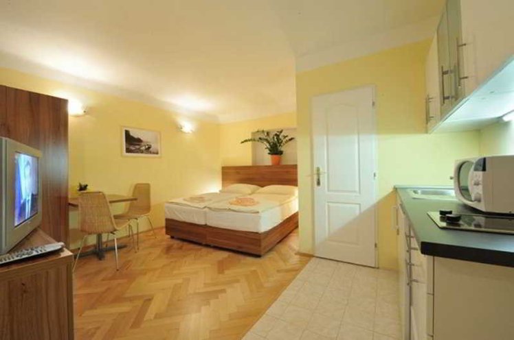 U Zlate Podkovy Aparthouse