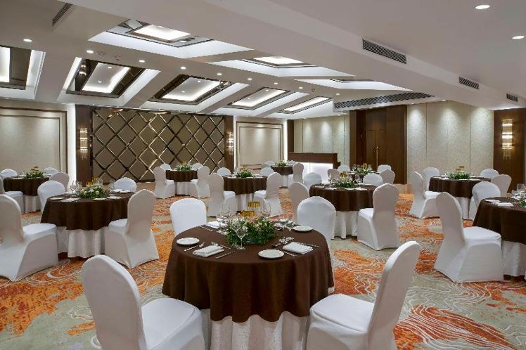 Conferences
