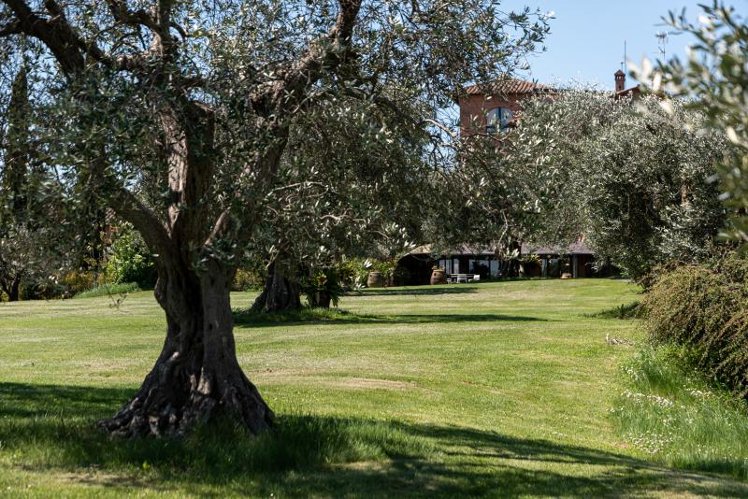General view