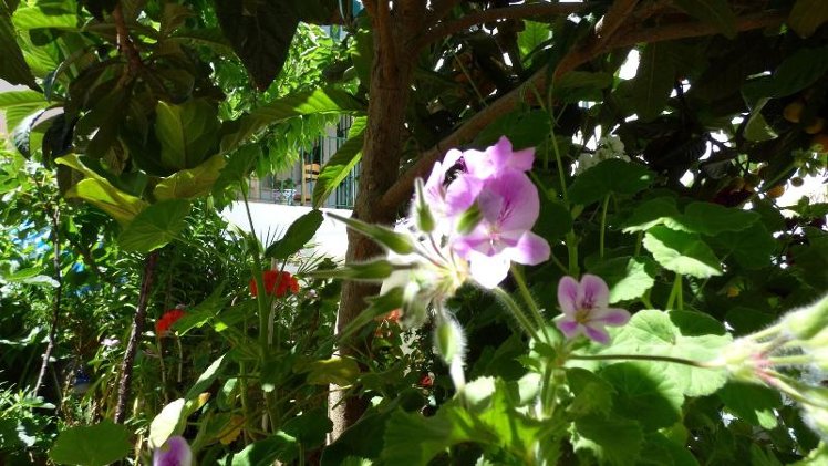 Holiday image