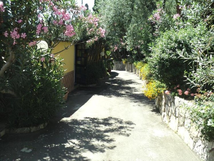 General view