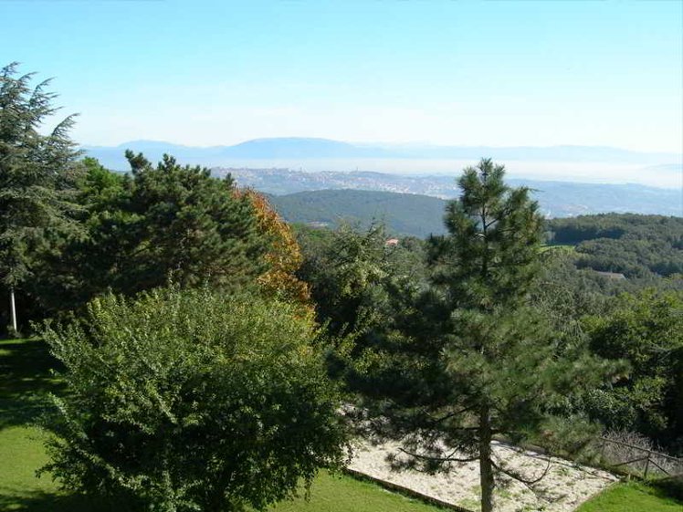 General view