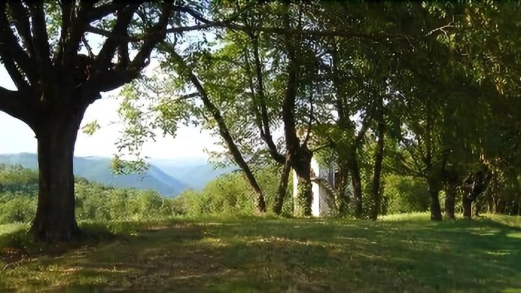General view