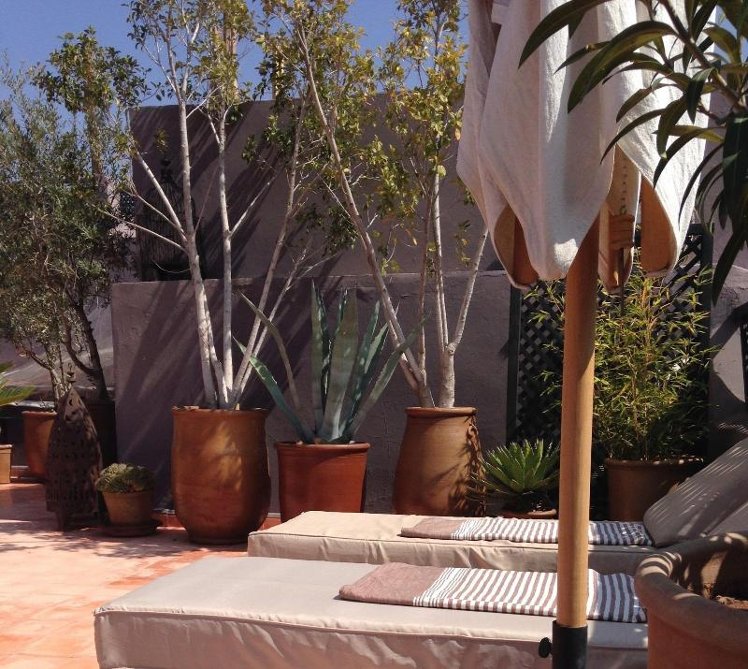 Terrace