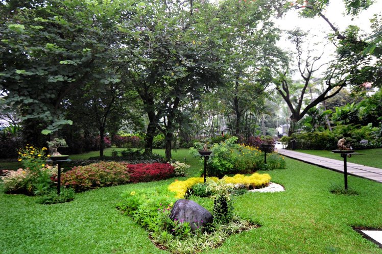 Slide image