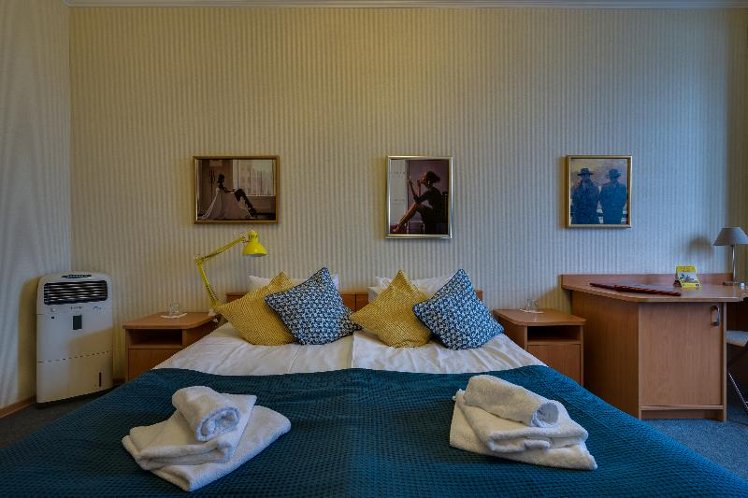 DOUBLE SINGLE USE STANDARD Room