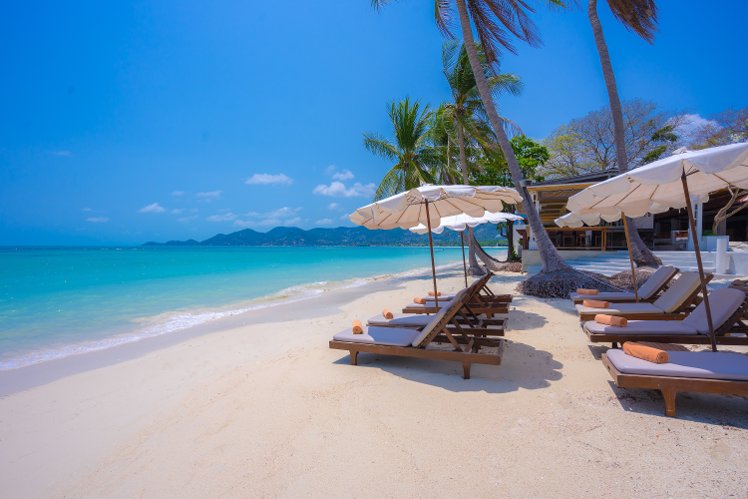 Holiday image