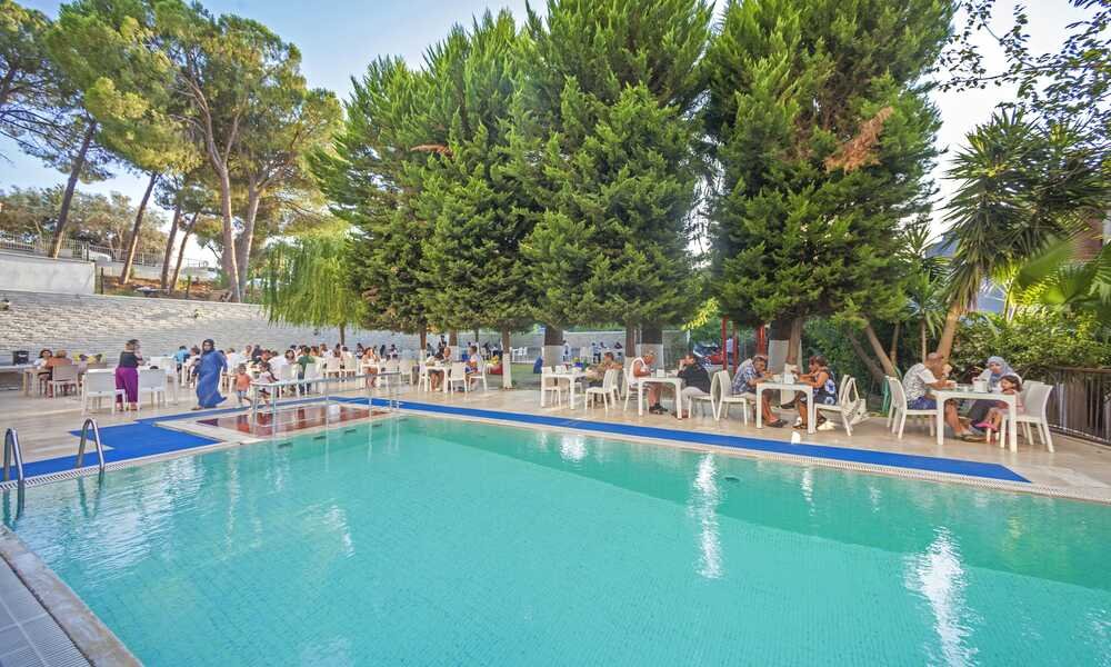 Holiday image