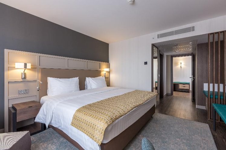 SUITE EXECUTIVE KING BED Room