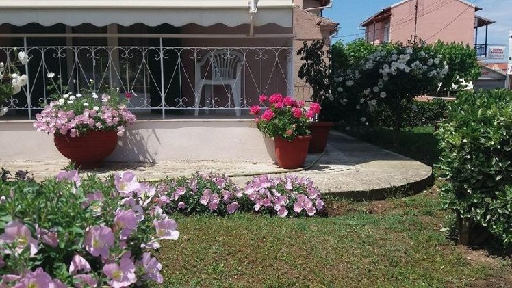 General view