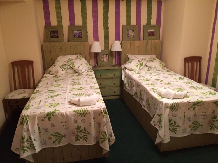 TWIN ECONOMY Room