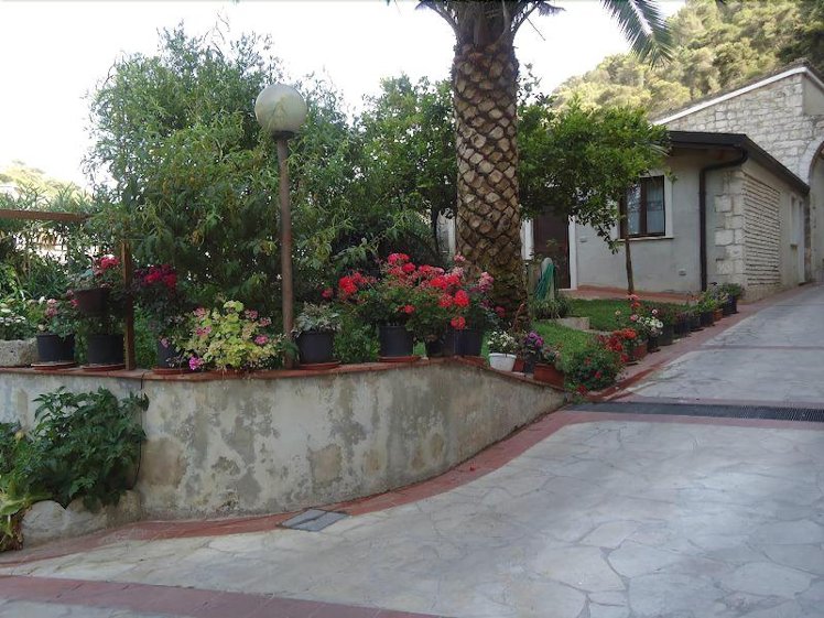 Pineta Monserrato