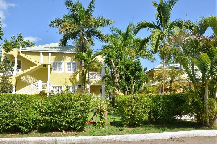 Holiday image