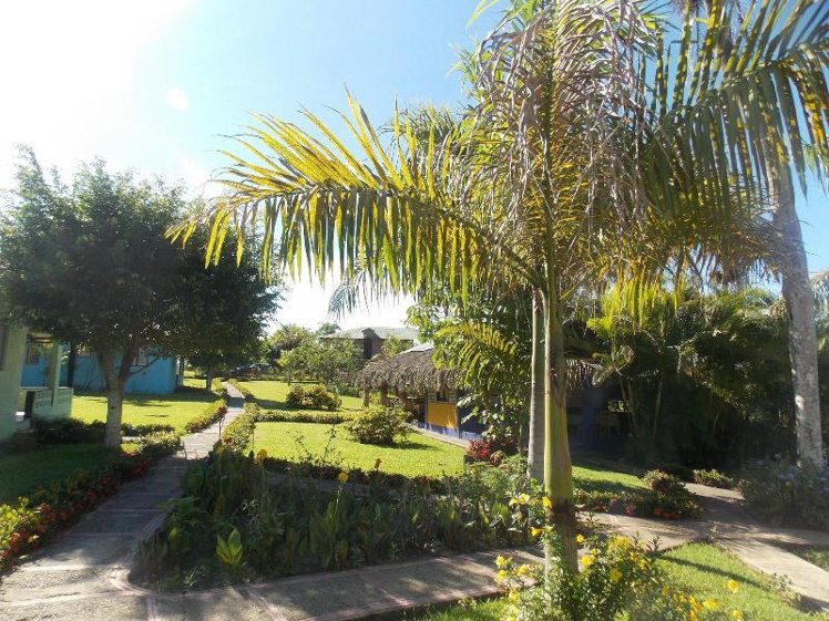 Los Bohios Campo añil