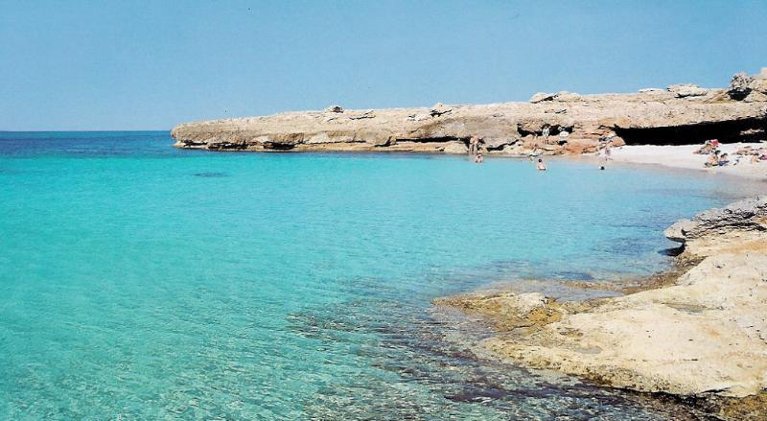 Holiday image