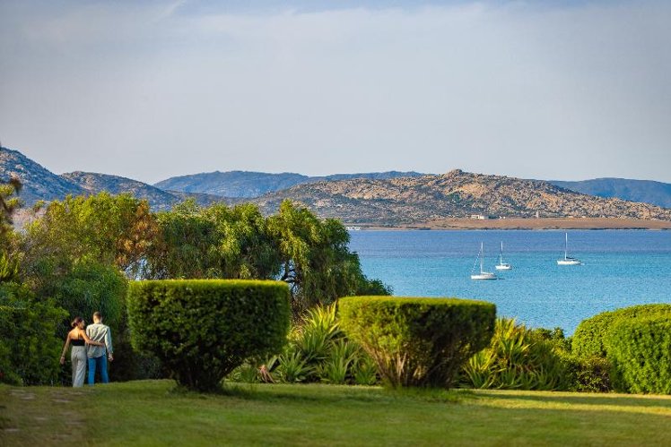 Holiday image