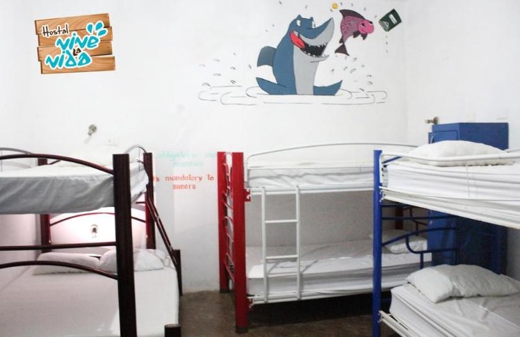 Bed in dormitory BUNK BED WITH SHARED BATHROOM Room