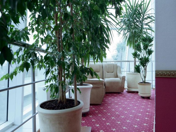 TWIN STANDARD Room