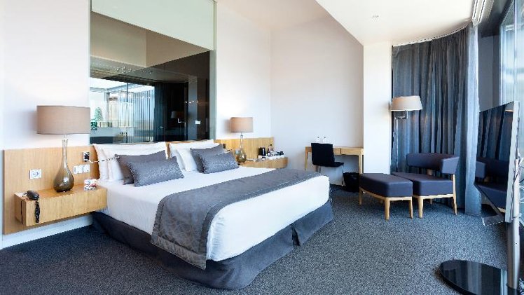 DOUBLE SINGLE USE DELUXE WITH TERRACE Room