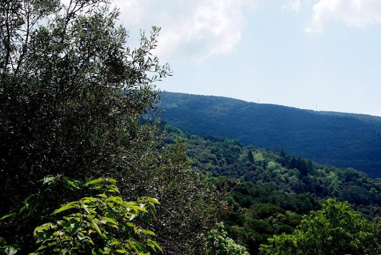 General view