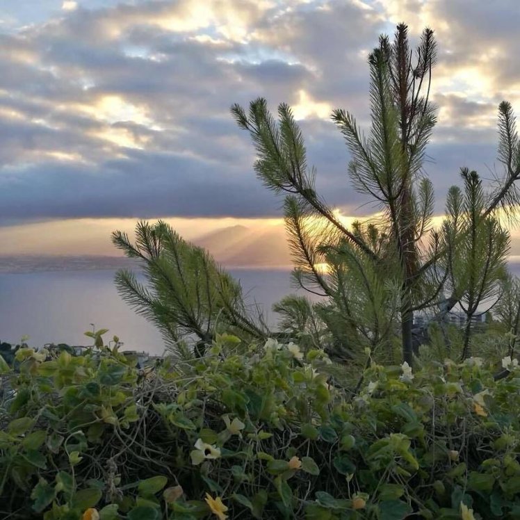 Scilla e Cariddi Bed&Breakfast