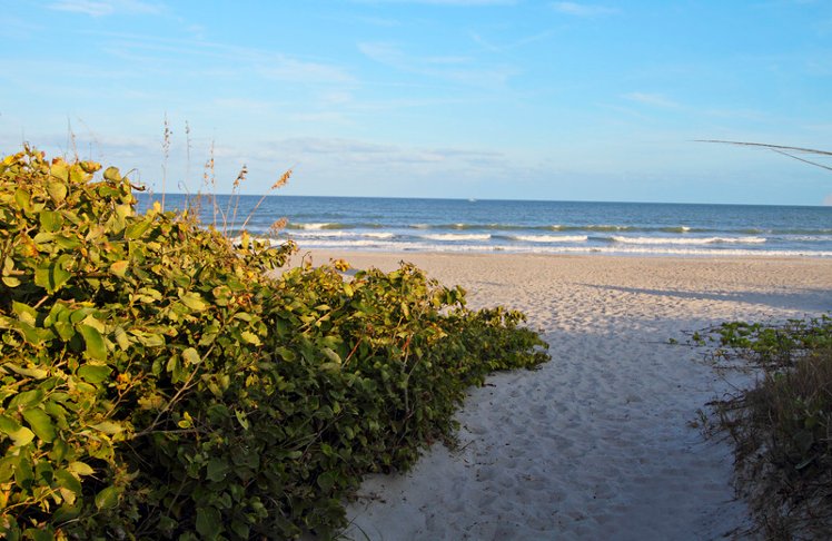 Beach