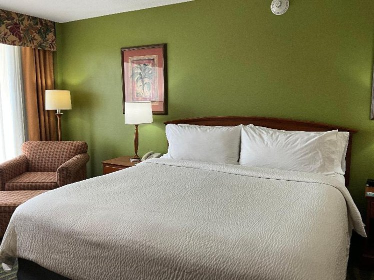SUITE KING BED ONE BEDROOM  Room