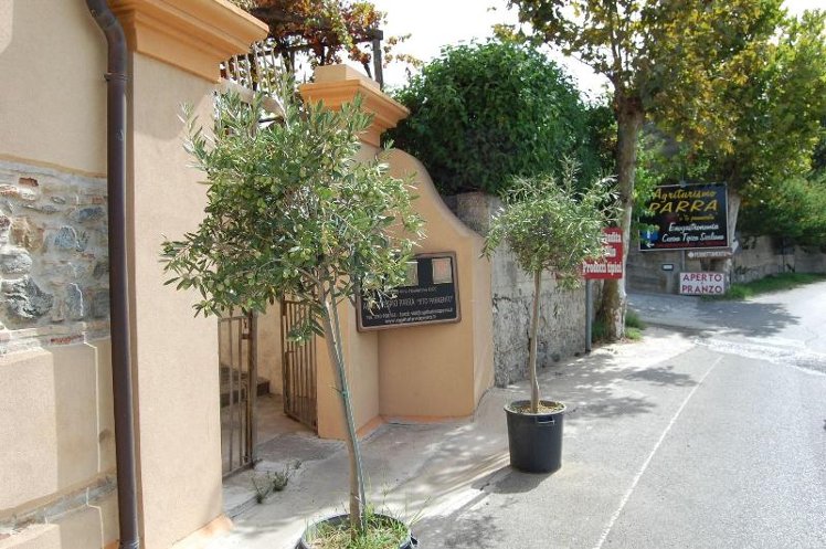 General view